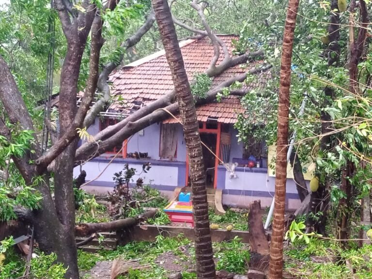 तोक्ते चक्रीवादळामुळे सिंधुदुर्ग जिल्ह्यात पडझडीच्या व नुकसानीच्या मोठ्या घटना तोक्ते चक्रीवादळामुळे सिंधुदुर्ग जिल्ह्यात पडझडीच्या व नुकसानीच्या मोठ्या घटना