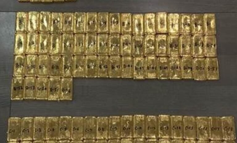 मुंबई, पाटणा आणि दिल्ली येथे ६५.४६ किलो सोने जप्त करत महसूल गुप्तचर संचालनालयाची मोठी कारवाई..