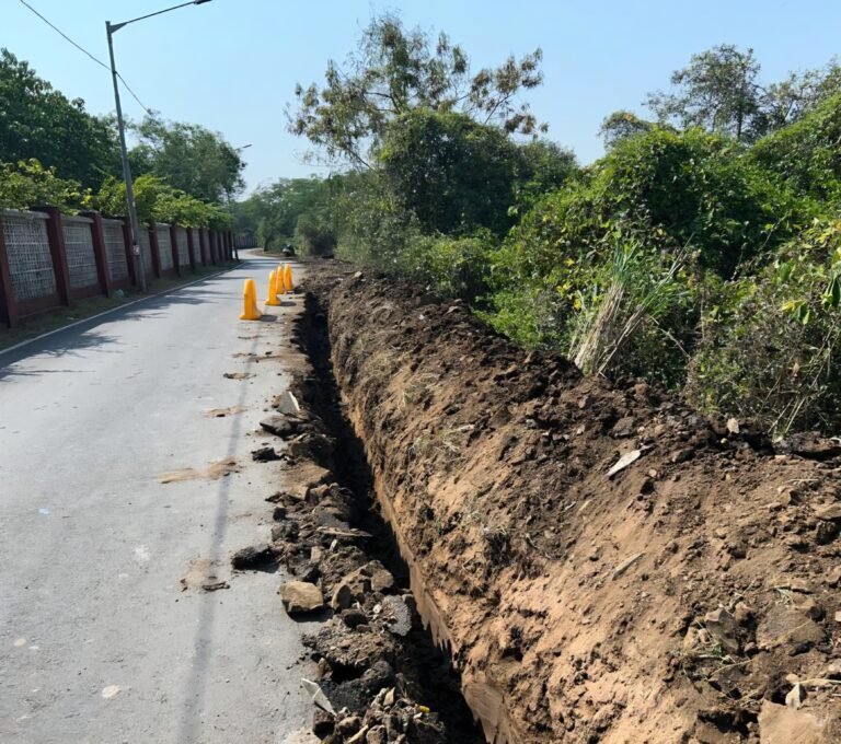 पर्यावरणप्रेमींच्या सातत्यपूर्ण पाठपुराव्याला मोठे यश; कांदळवन नाश प्रकरणातील मुख्य आरोपींचा समावेश करण्याची प्रक्रिया सुरू!